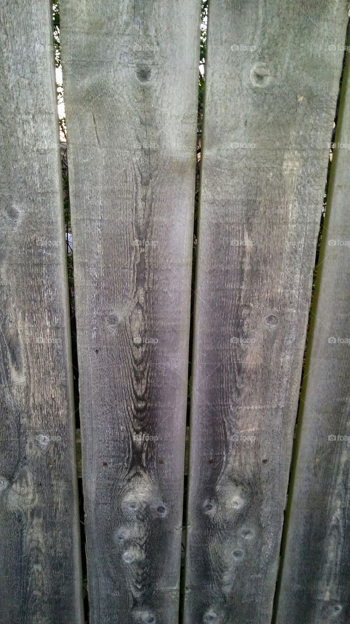 Weathered Fence