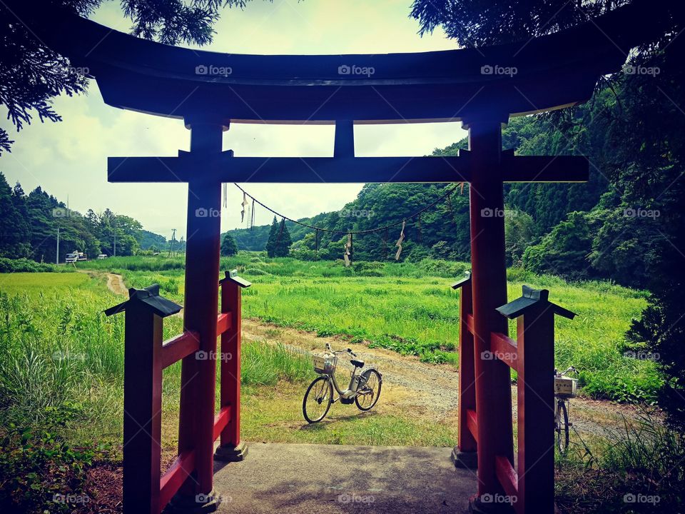 bicycle in front of the shrine, sado island, Japan