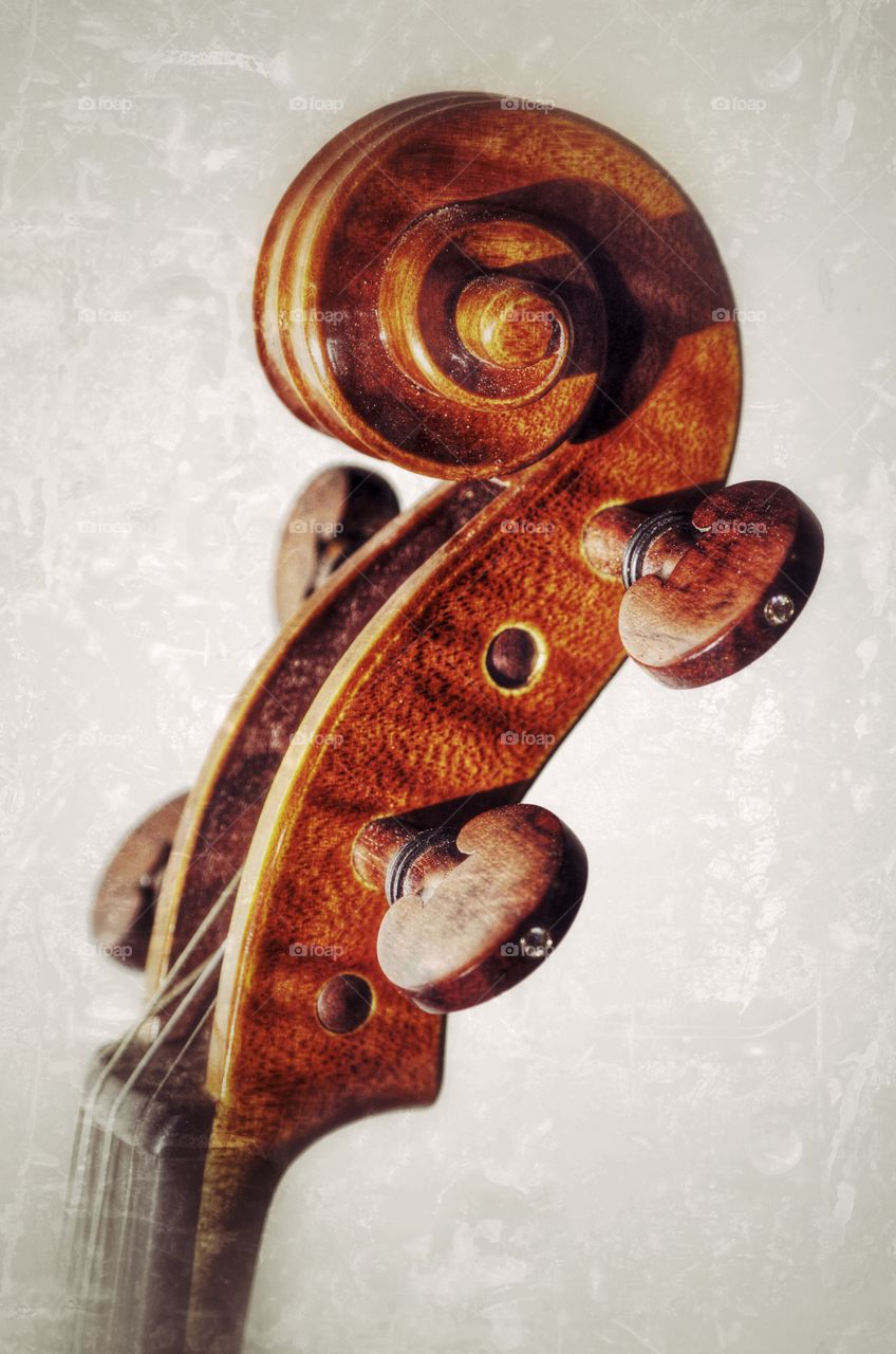 Close-up of classical violin