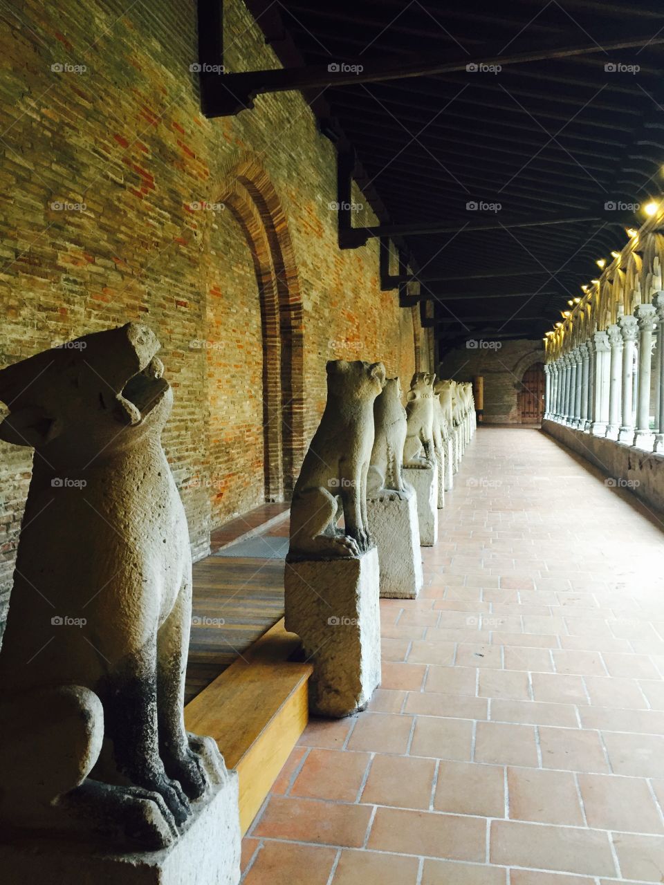 Gargoyles lurking in Toulouse cloisters