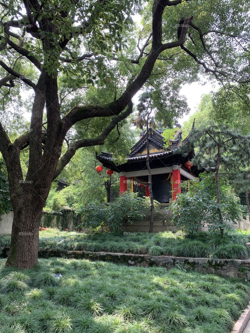Wuxi - beautiful gardens in the old town - a place to experience some even more beautiful than the Suzhou gardens