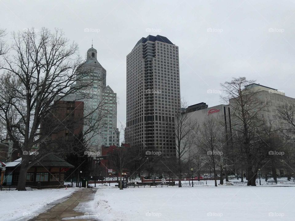 Bushnell Park