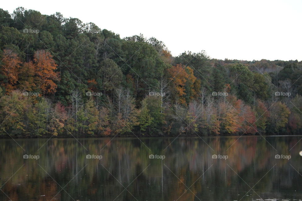 lake during fall