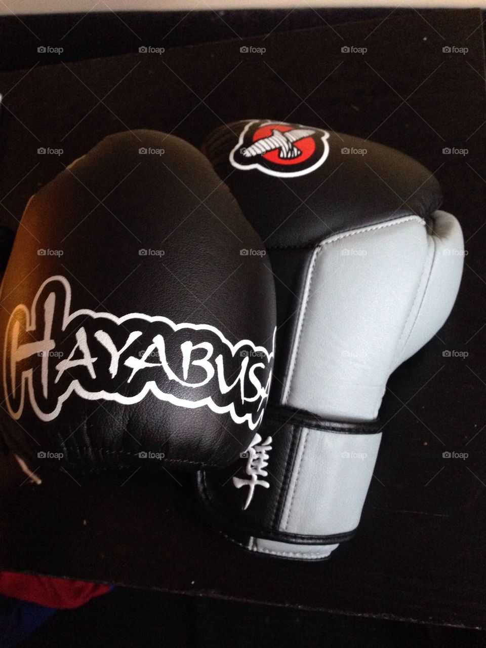 Hayabusa boxing gloves