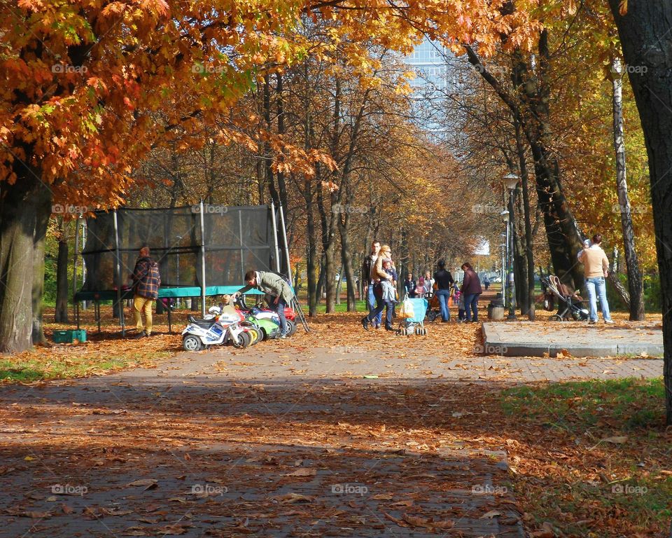 adults and children are walking in autumn park,Kiev,Ukraine