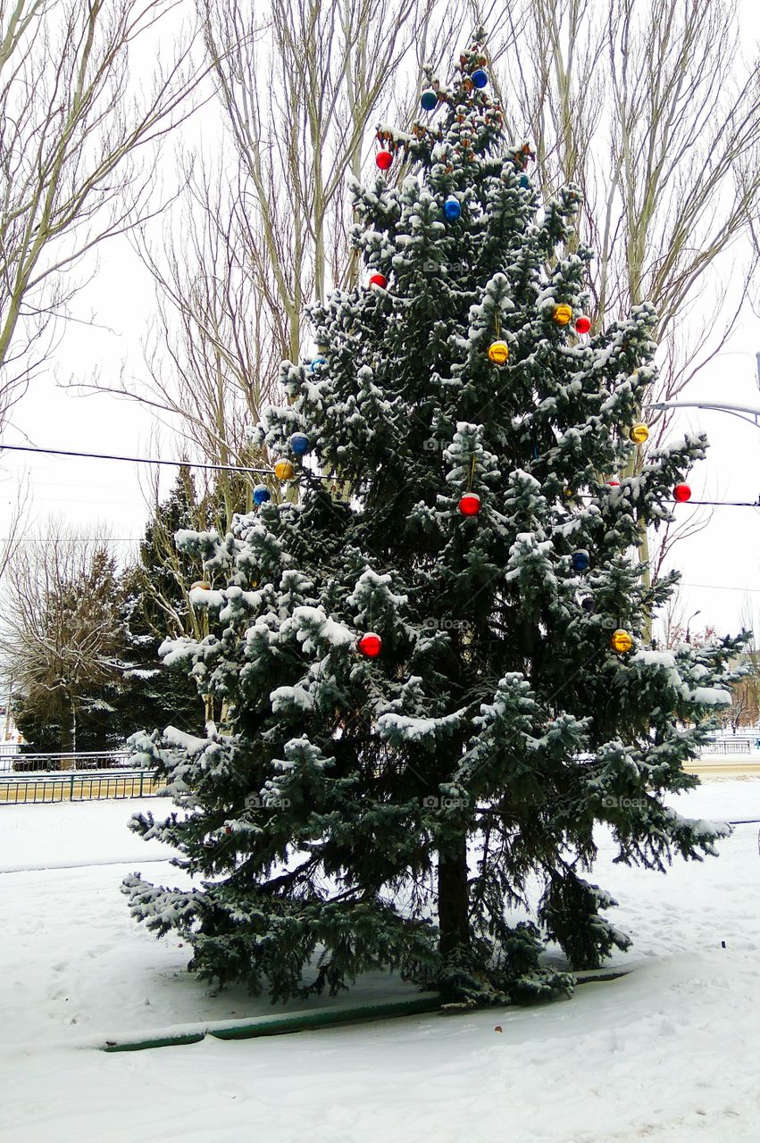 Winter holiday 🌲🎉🎉🎉