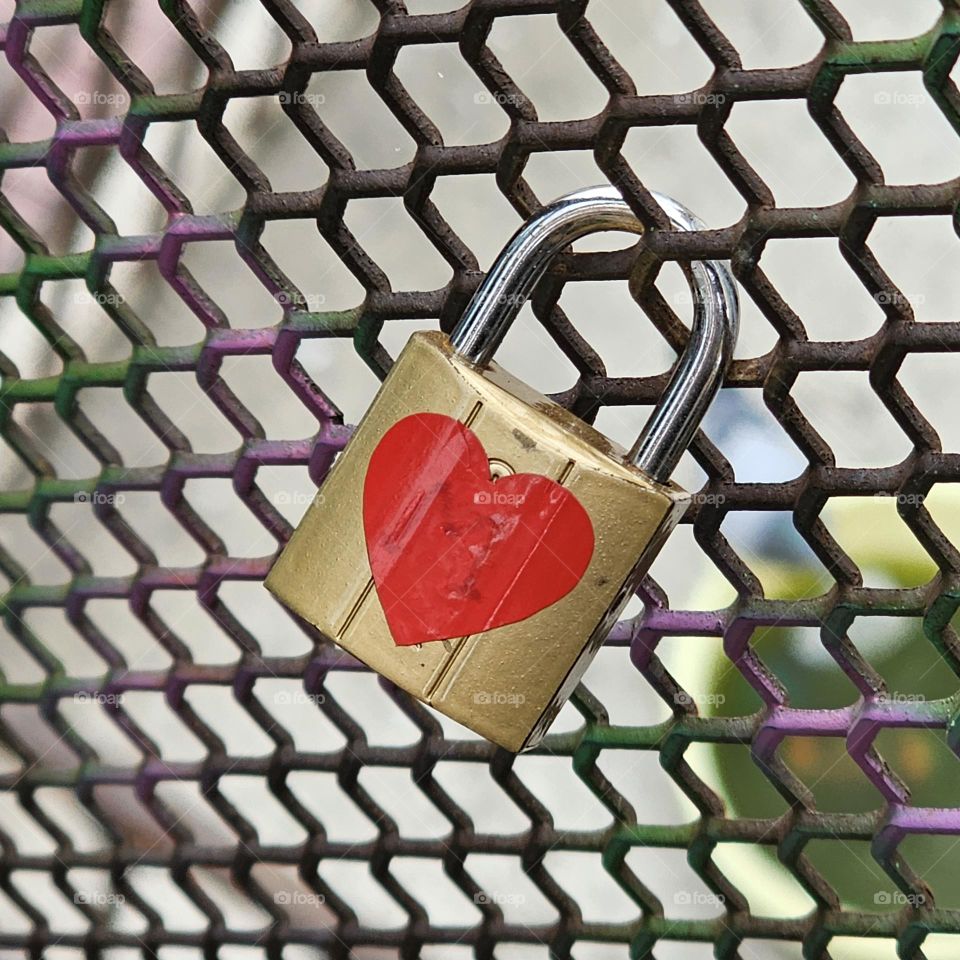 An old padlock, with a heart engraved, hanging on a fence that bears the marks of time. The metal has aged beautifully, and the delicate details of the heart seem to whisper forgotten stories.