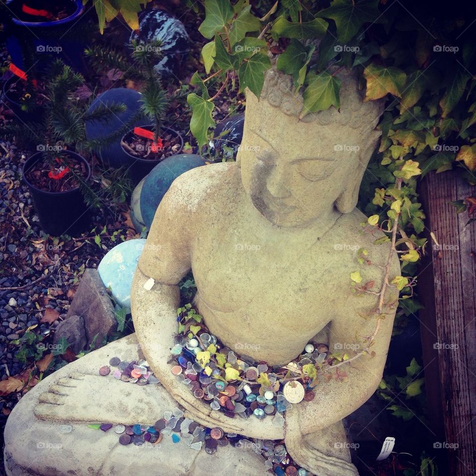 Ivy Buddha