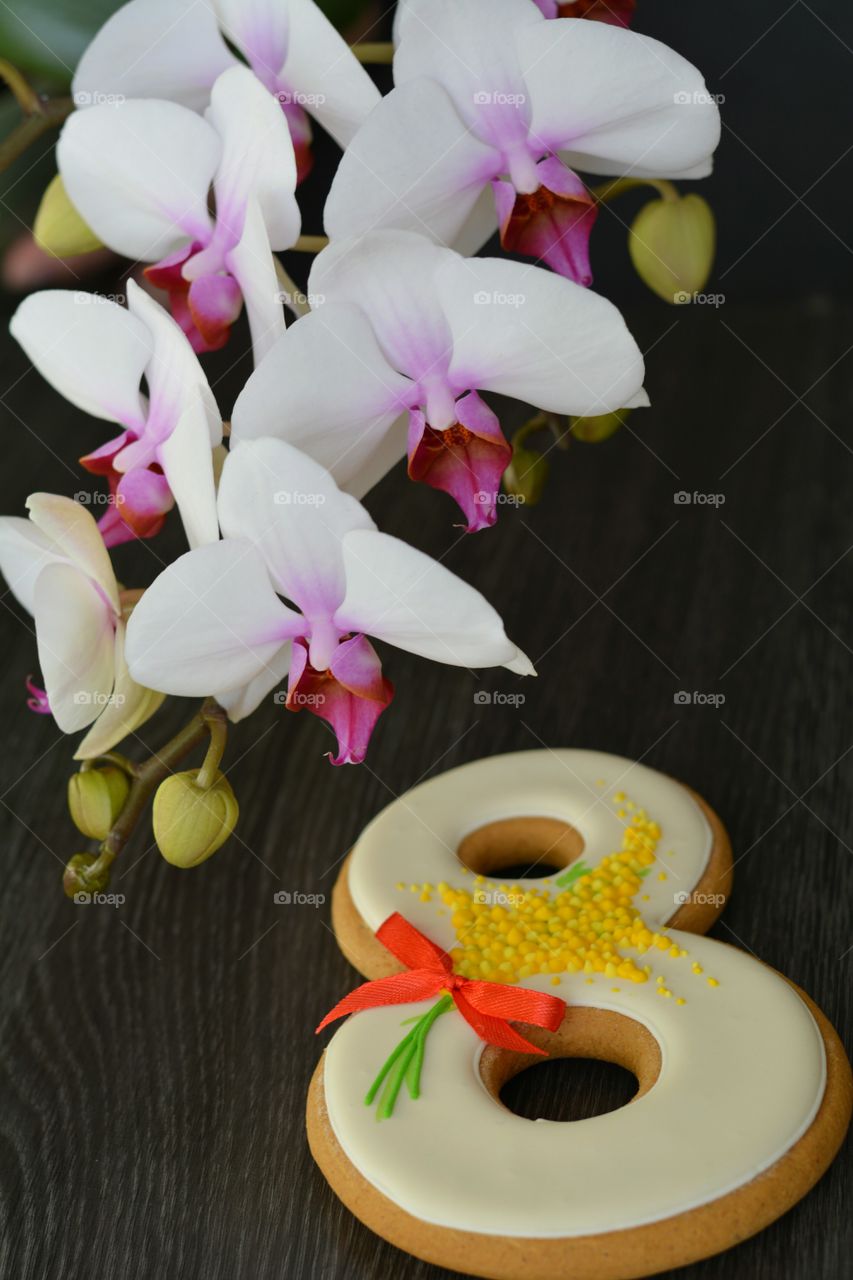 Orchids, No Person, Flower, Tropical, Exotic