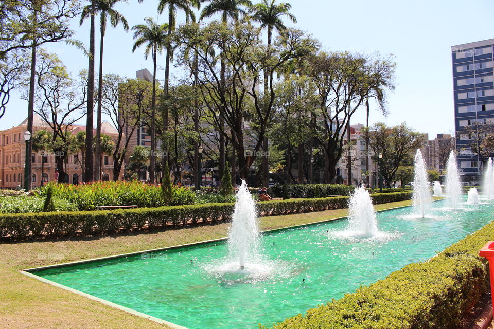 A beautiful sunny day in the park