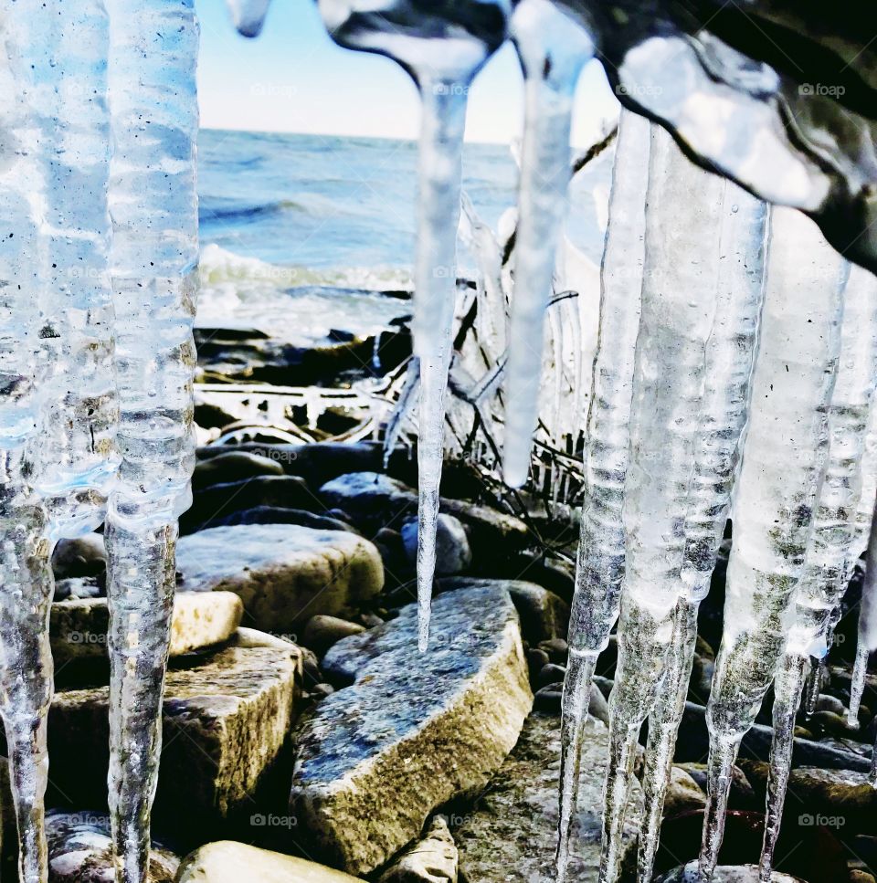 Icicles hanging from tree branches 