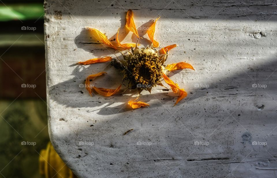 No Person, Nature, Outdoors, Color, Desktop