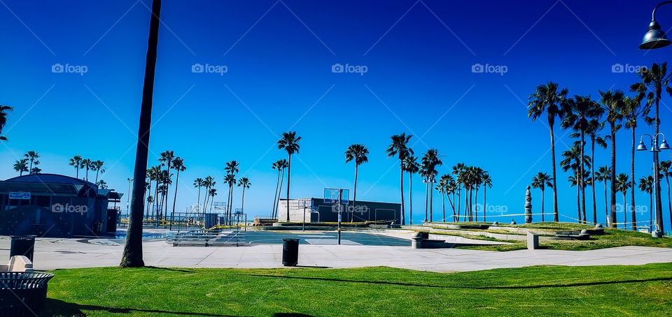 Venice Beach during lockdown