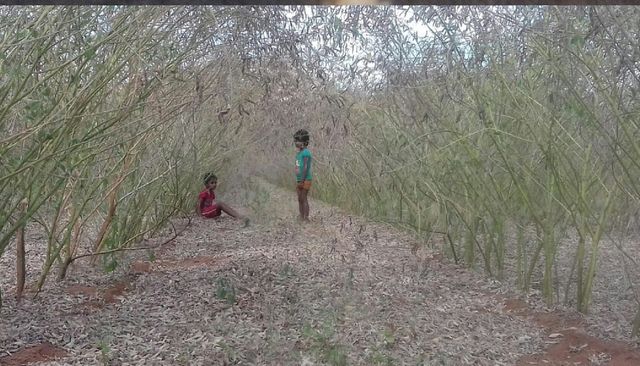 adventurous children