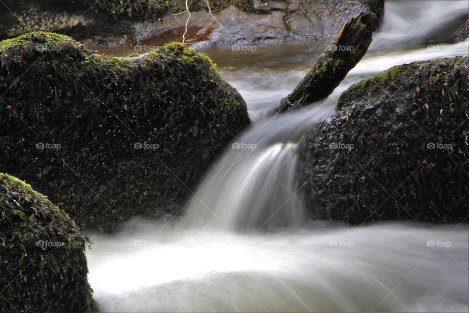 River Bovey