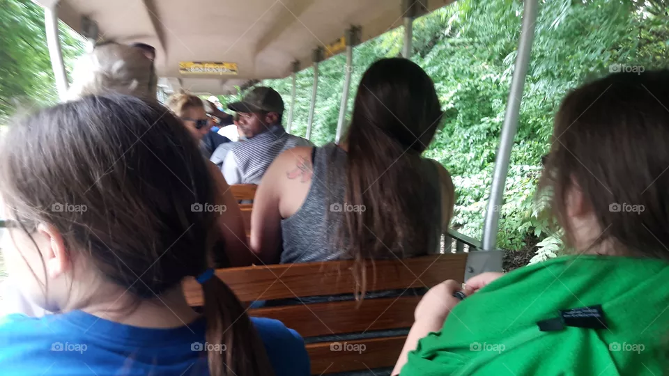 Train at the Zoo