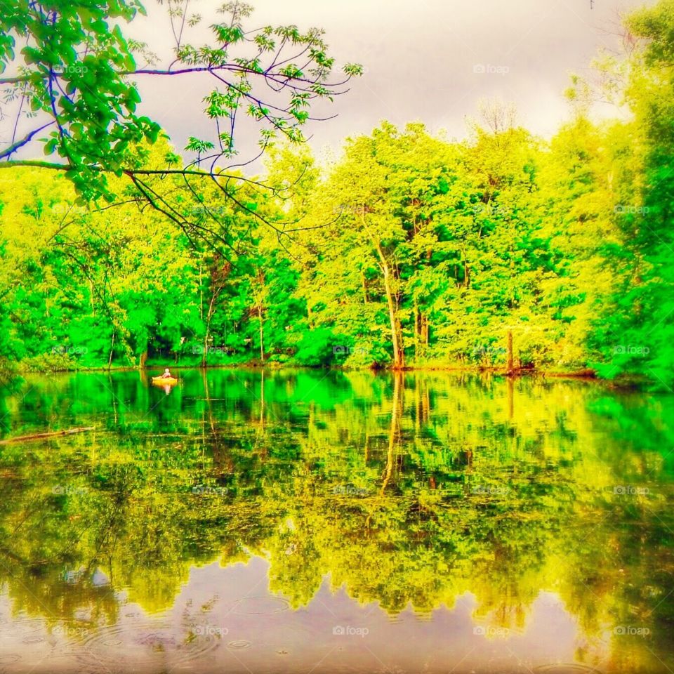 Natures beauty . Summit lake state park after it had rained. So pretty. In Indiana. 