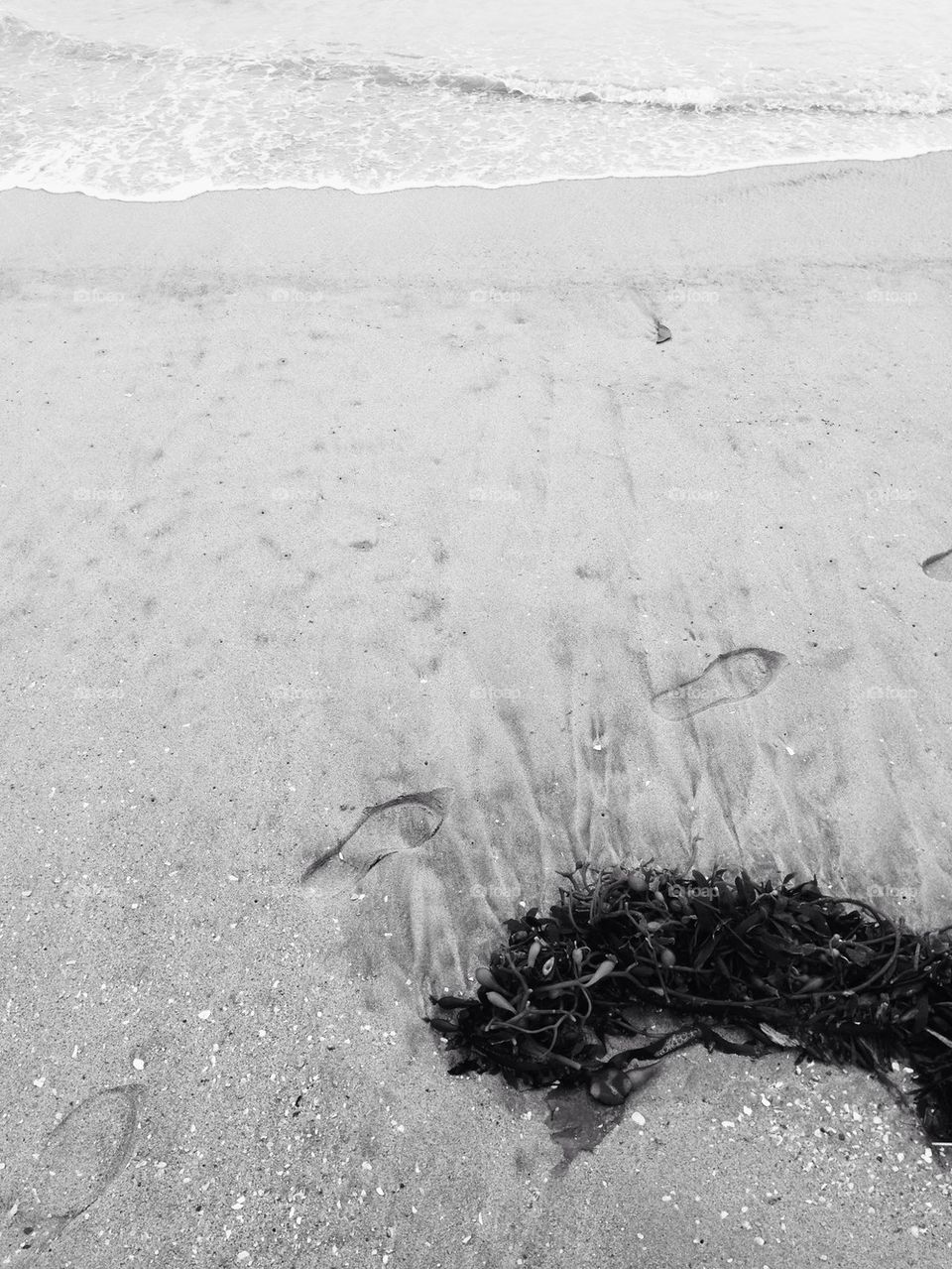 Footprints, Seaweed, Water