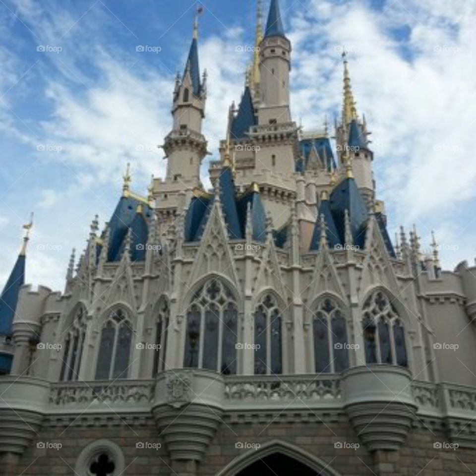 Disney Castle.