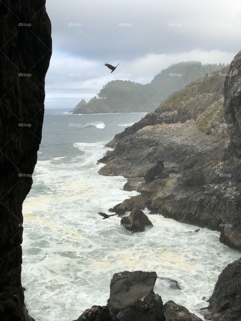 Heceta Head Lighthouse Through Sea Lion Cave