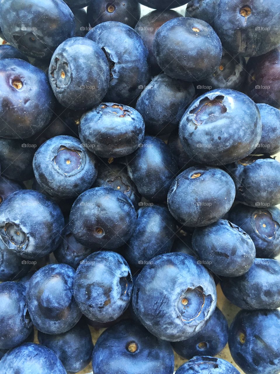 Close-up of blueberries