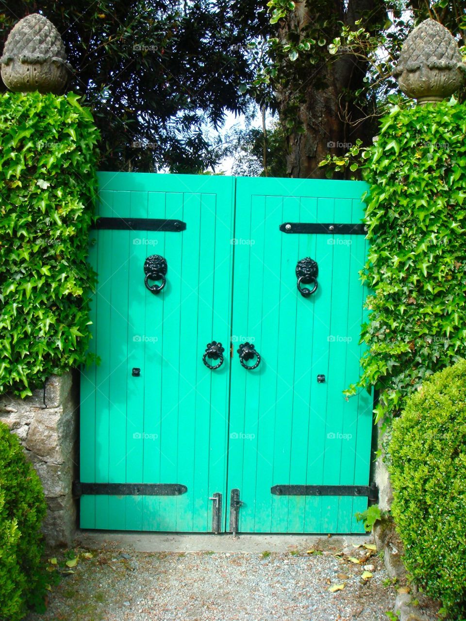 Wood, Garden, Door, House, No Person