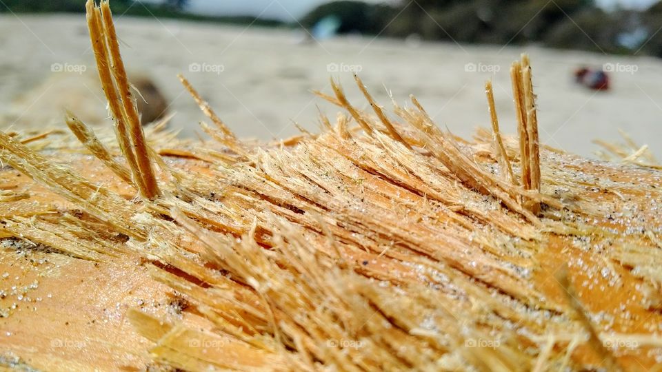 Sandblasted Driftwood