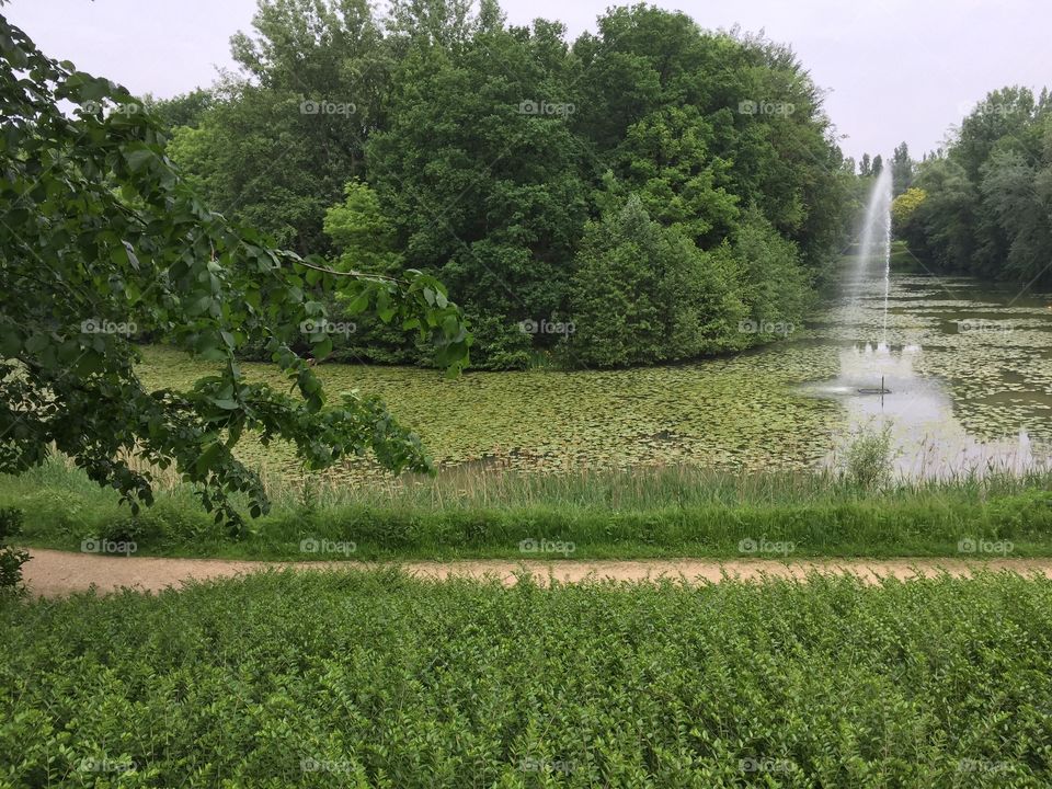 Waterscape in Antwerp