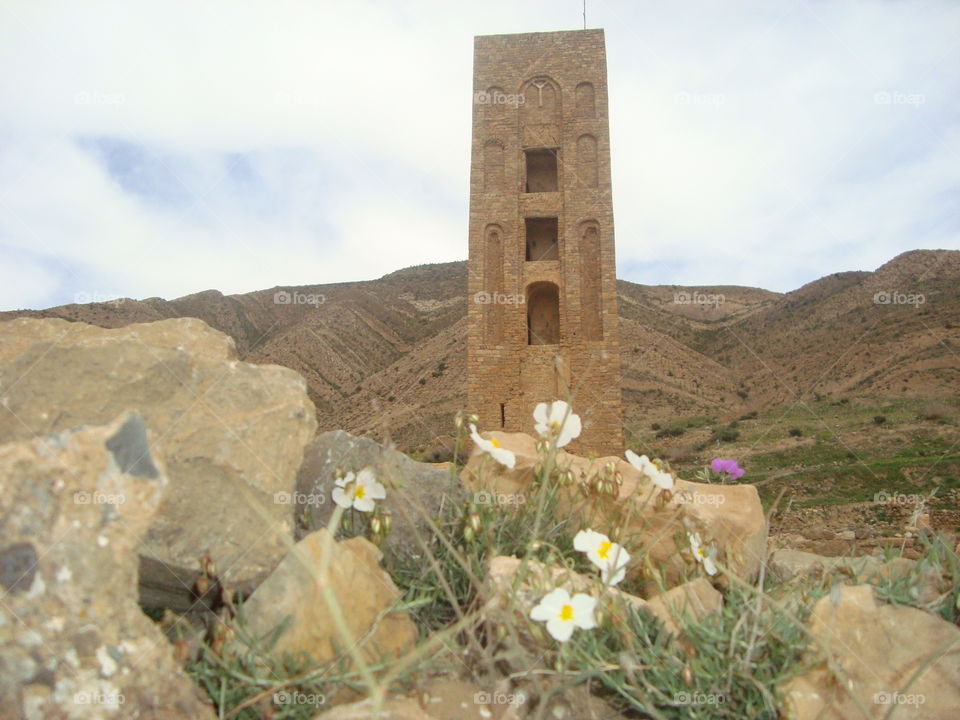 Algéria, castle classé by UNESCO