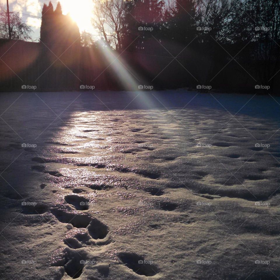 Sun shining on snow