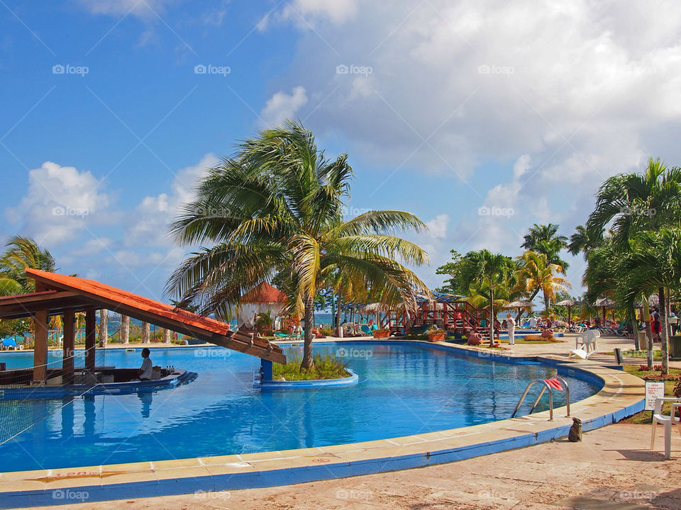 tree palm pool resort by swatchtime