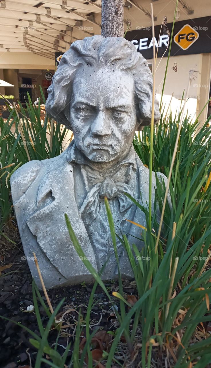 Beethoven