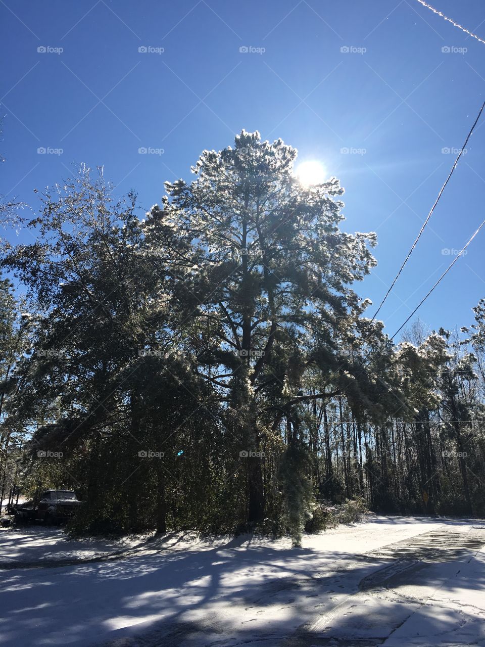 The day after “snow day”! The sun shines different in the south!