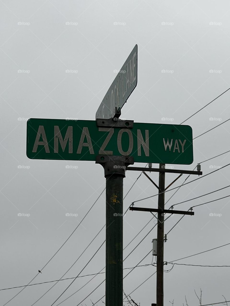 AMAZON WAY