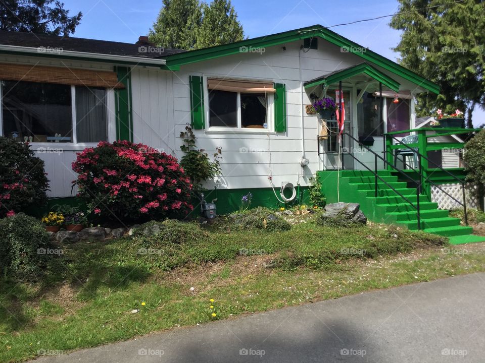 Little house in the Country 