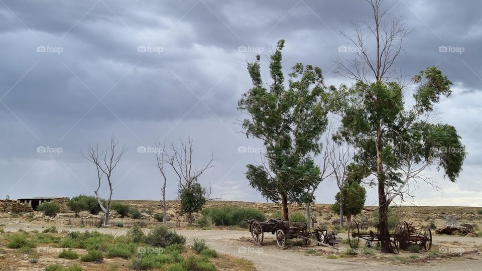 karoo farm