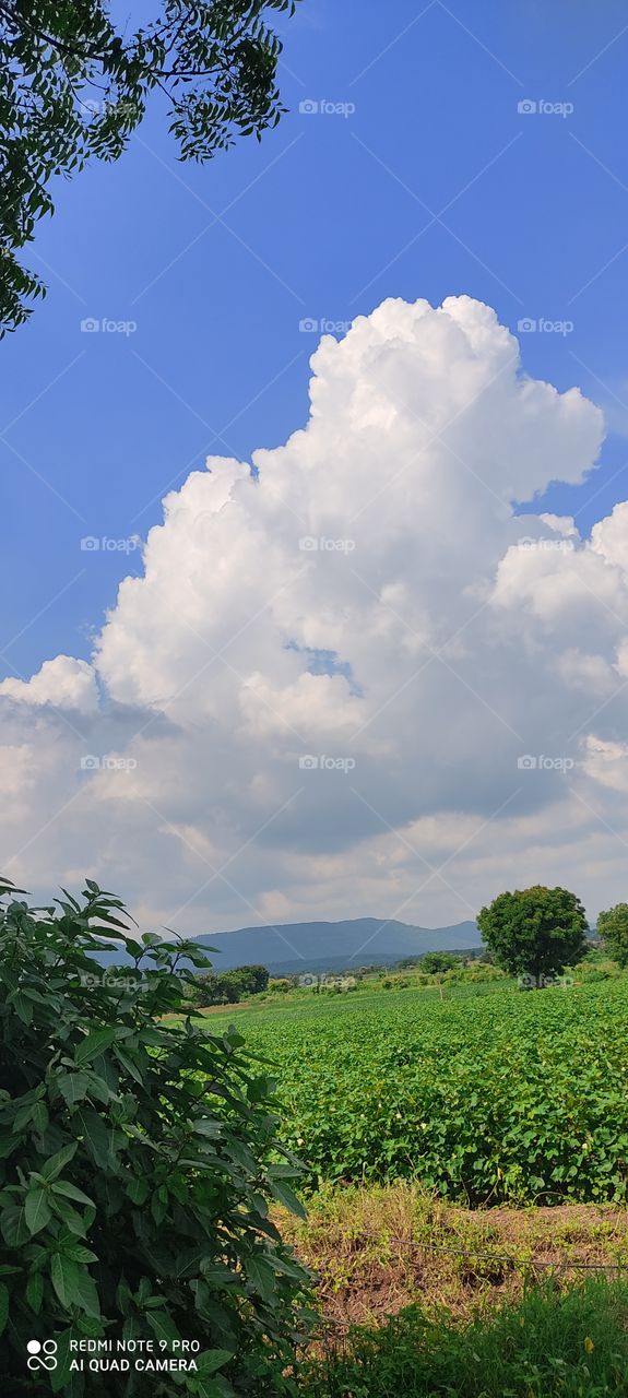 The watery weather seems very pleasant and very attractive