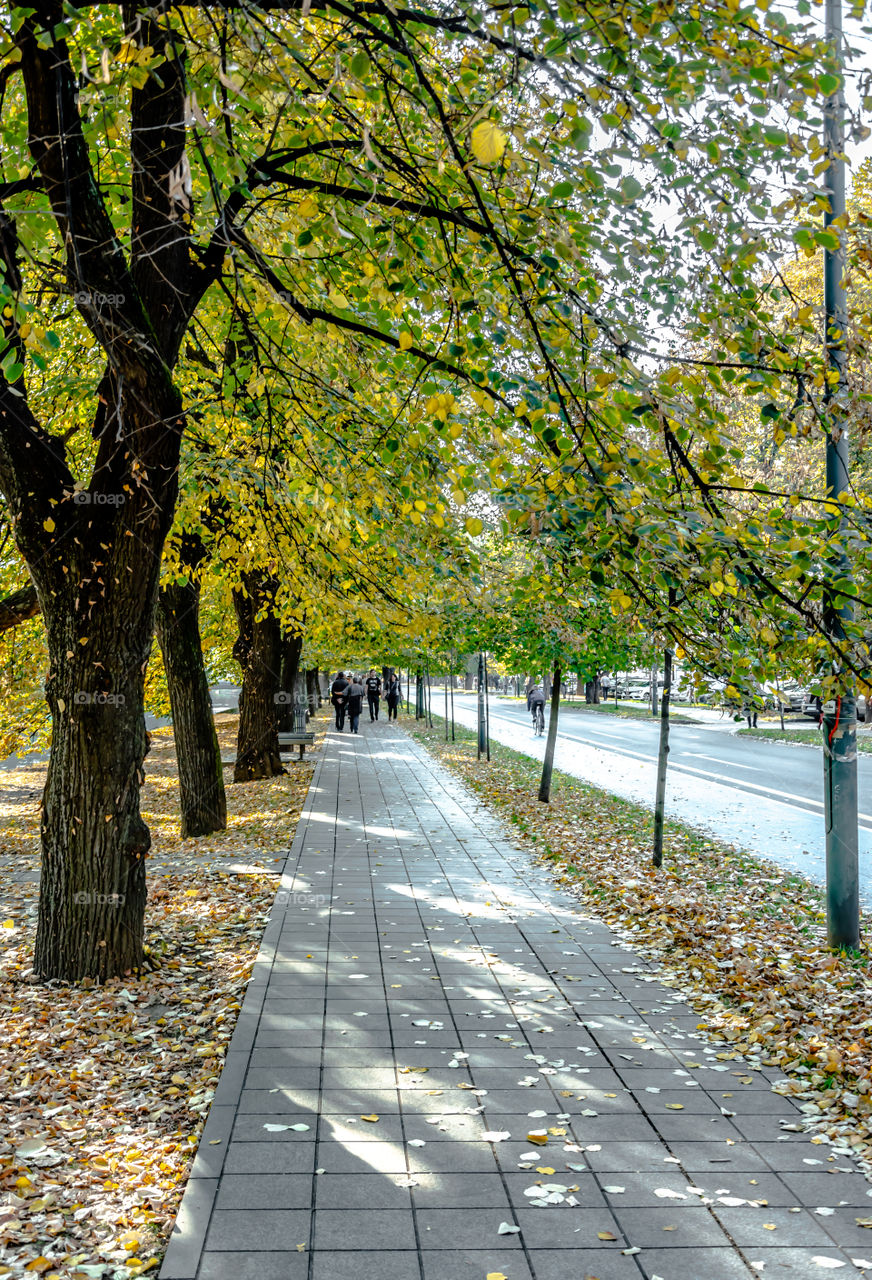 Autumn on the Vilson's Promenade