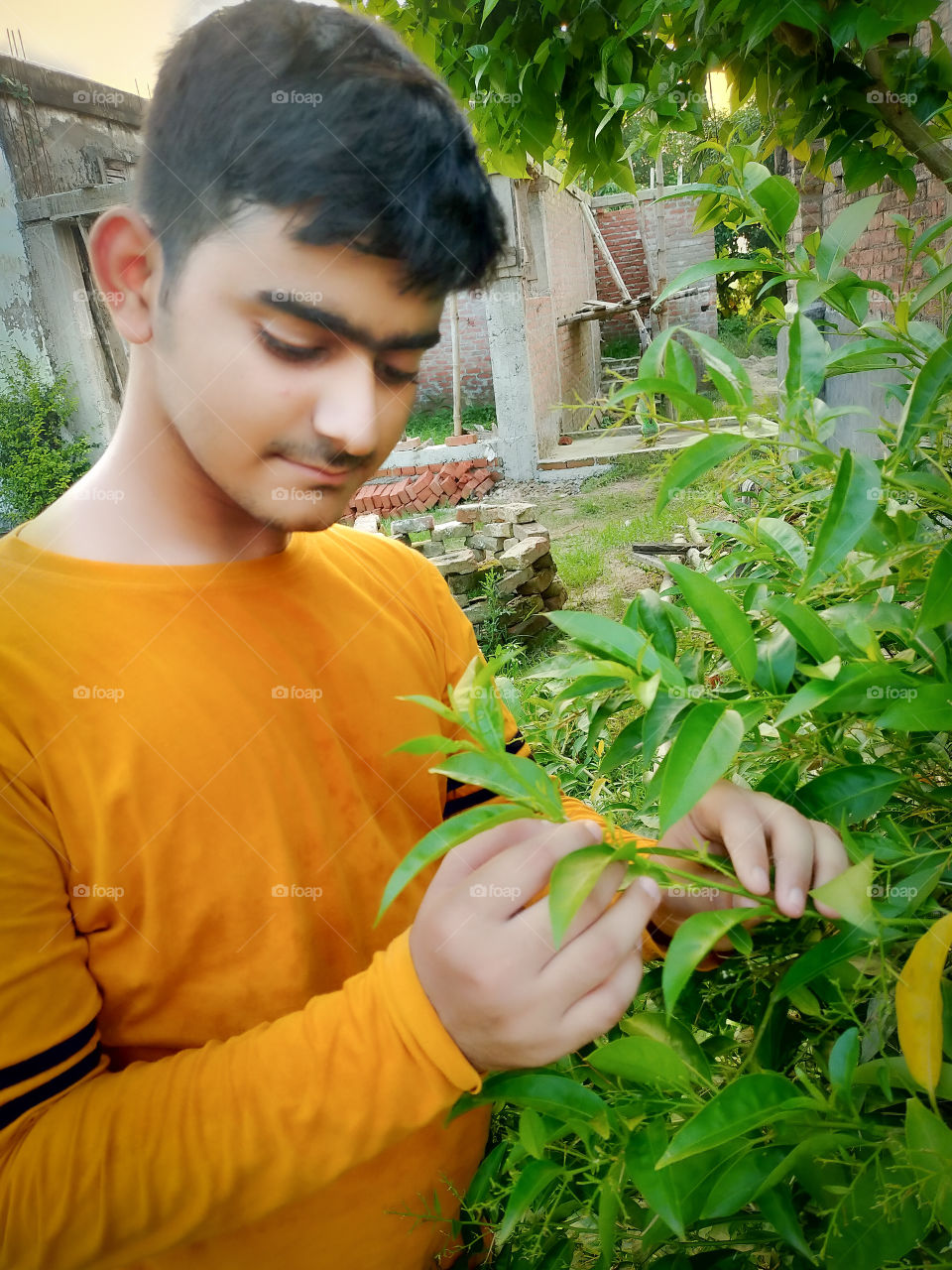 Moments of morning walk with plants.