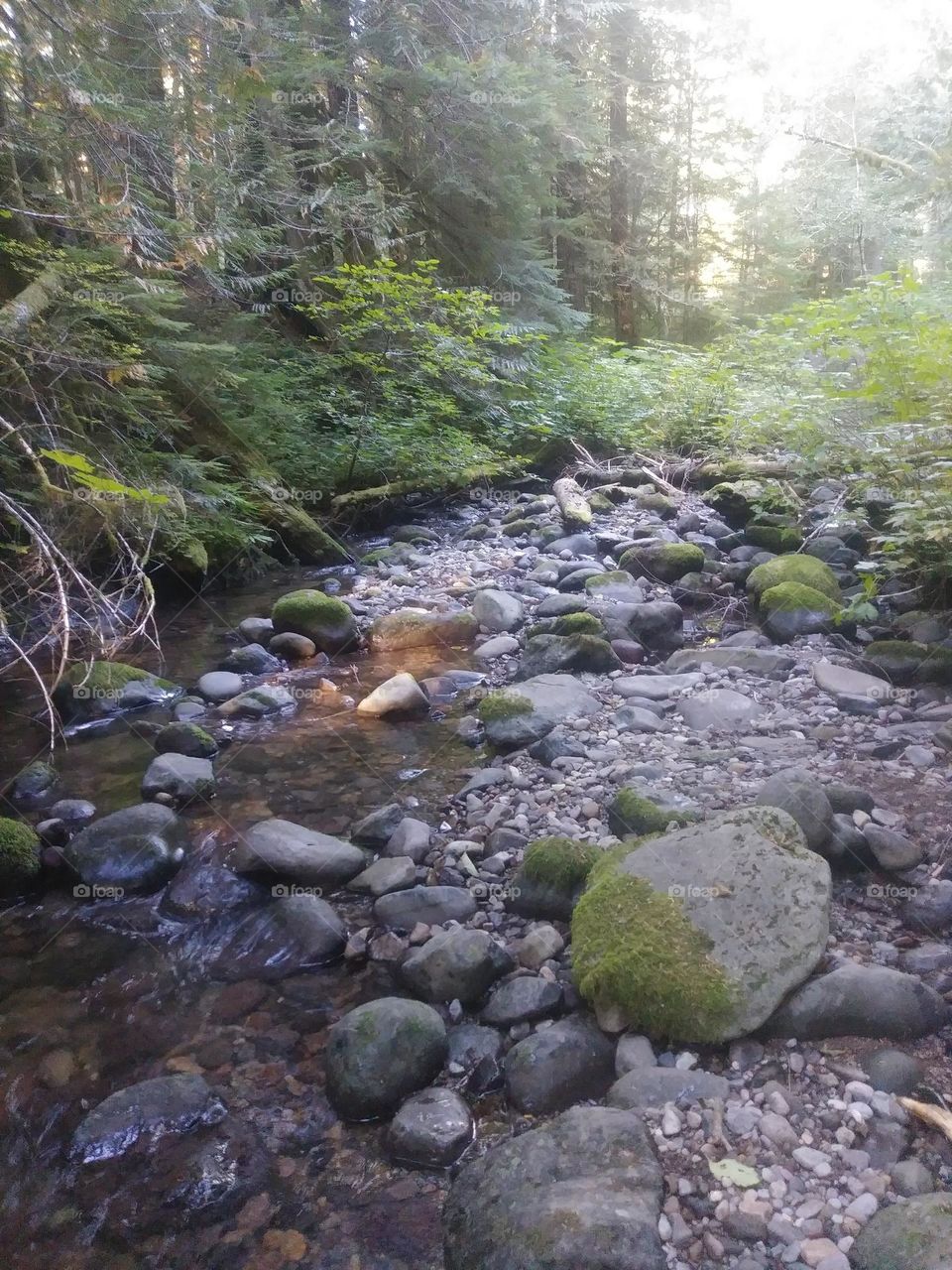 the water that runs by it camping spot