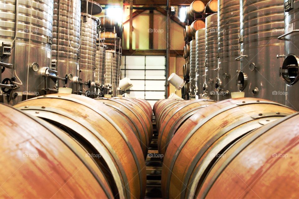 Wine barrels at chateau morisette winery.