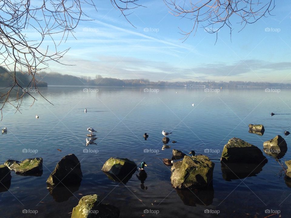 Good morning at Pennington flash country park