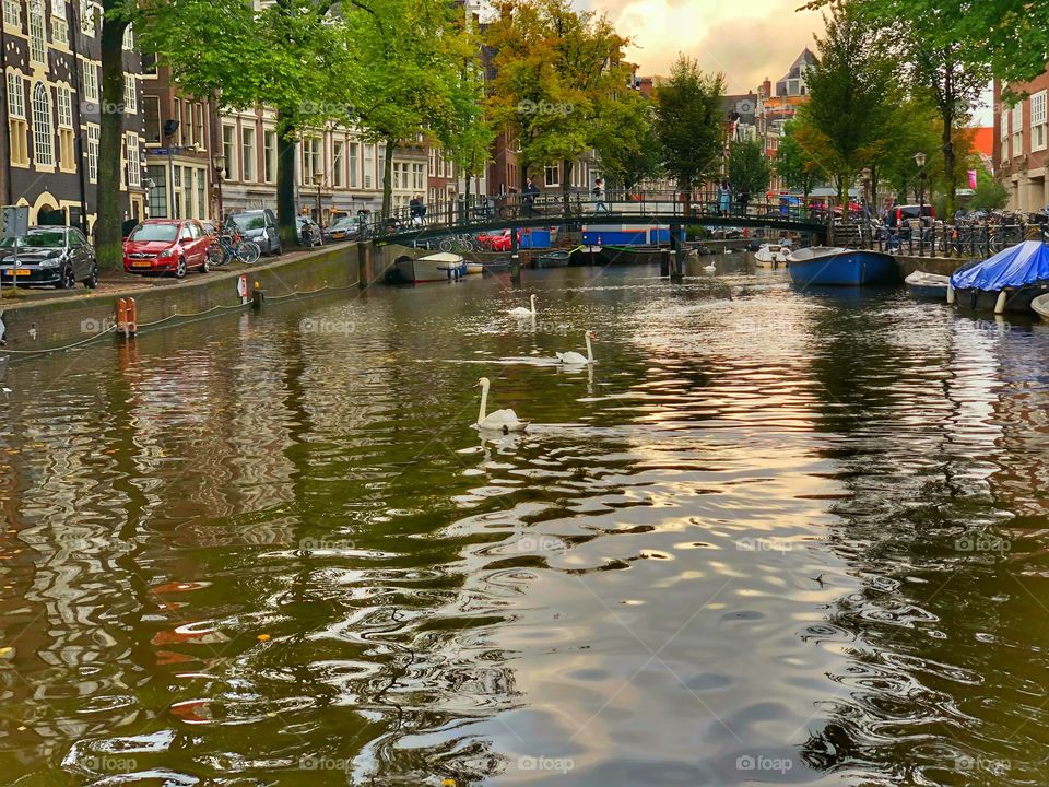 Gracht Amsterdam