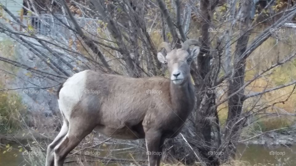 Here's looking at you,kid