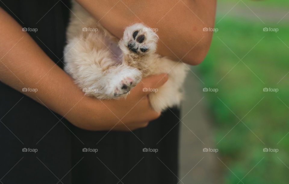 Cutest phot, girl and pet