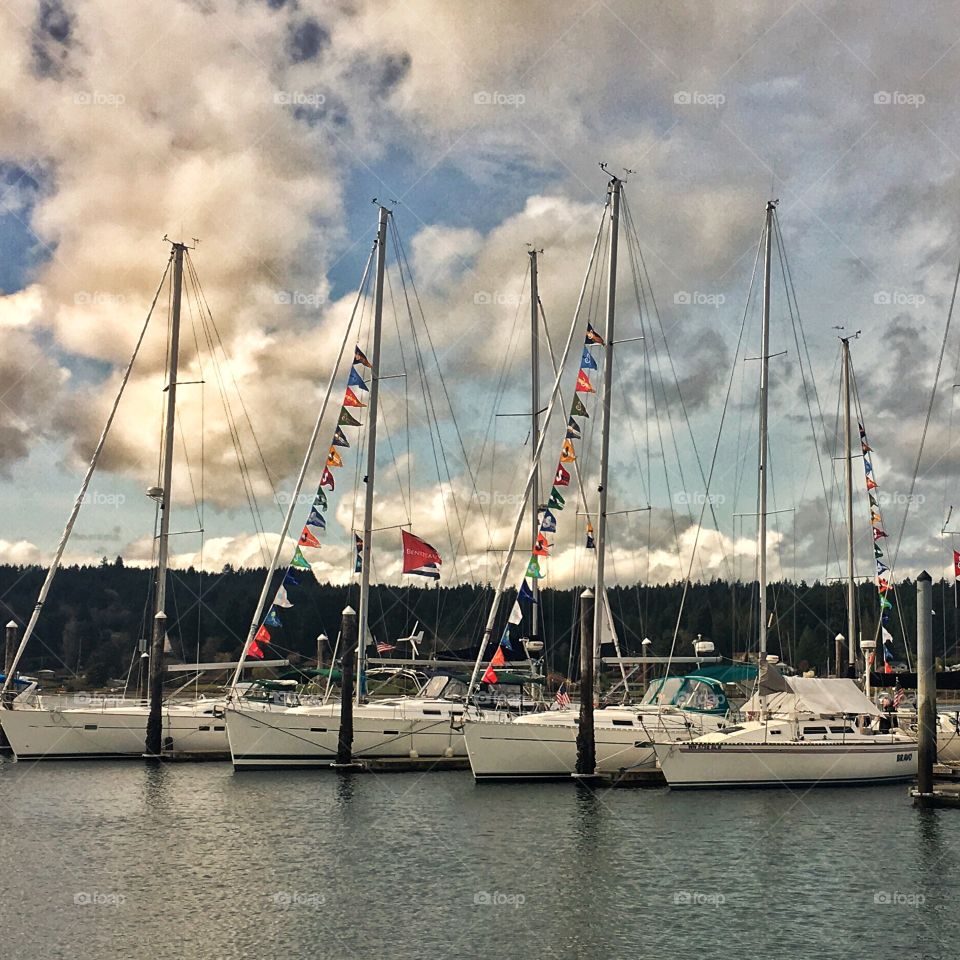 Sail Boats at Poulsbo Marina