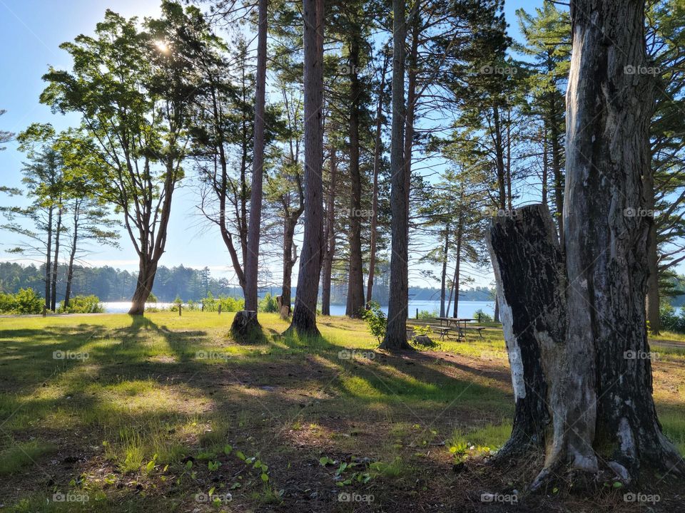 Pike River State Forest Campground