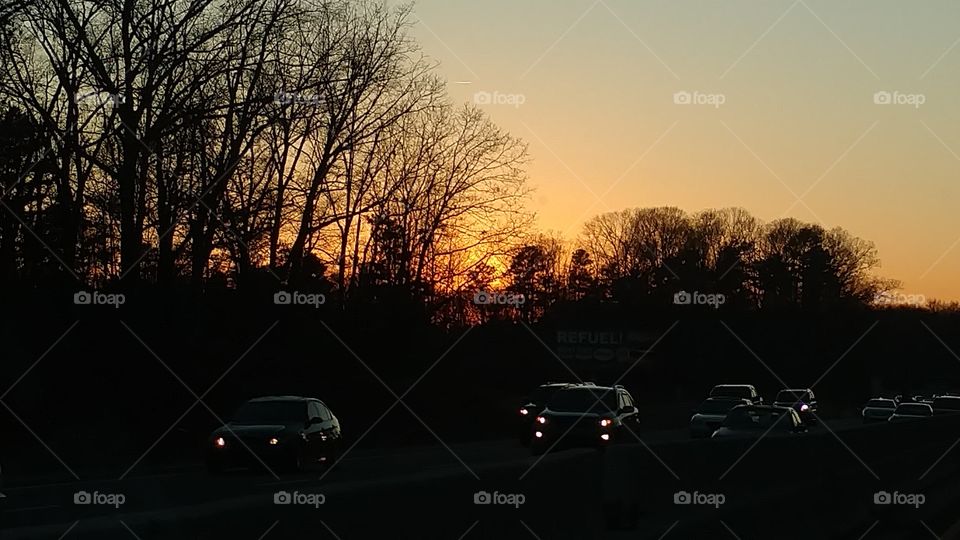 Car, Light, Tree, Road, Landscape