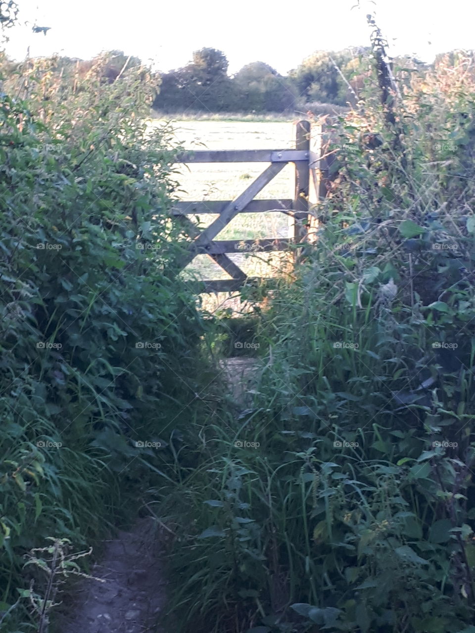 Countryside Gate