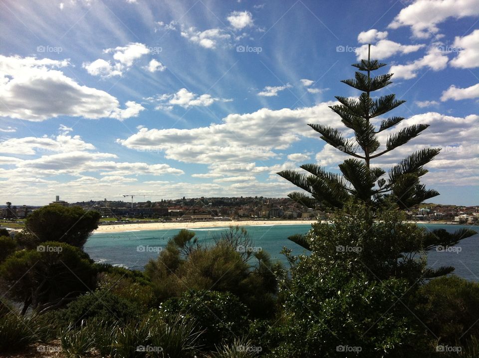 Bondi beach 